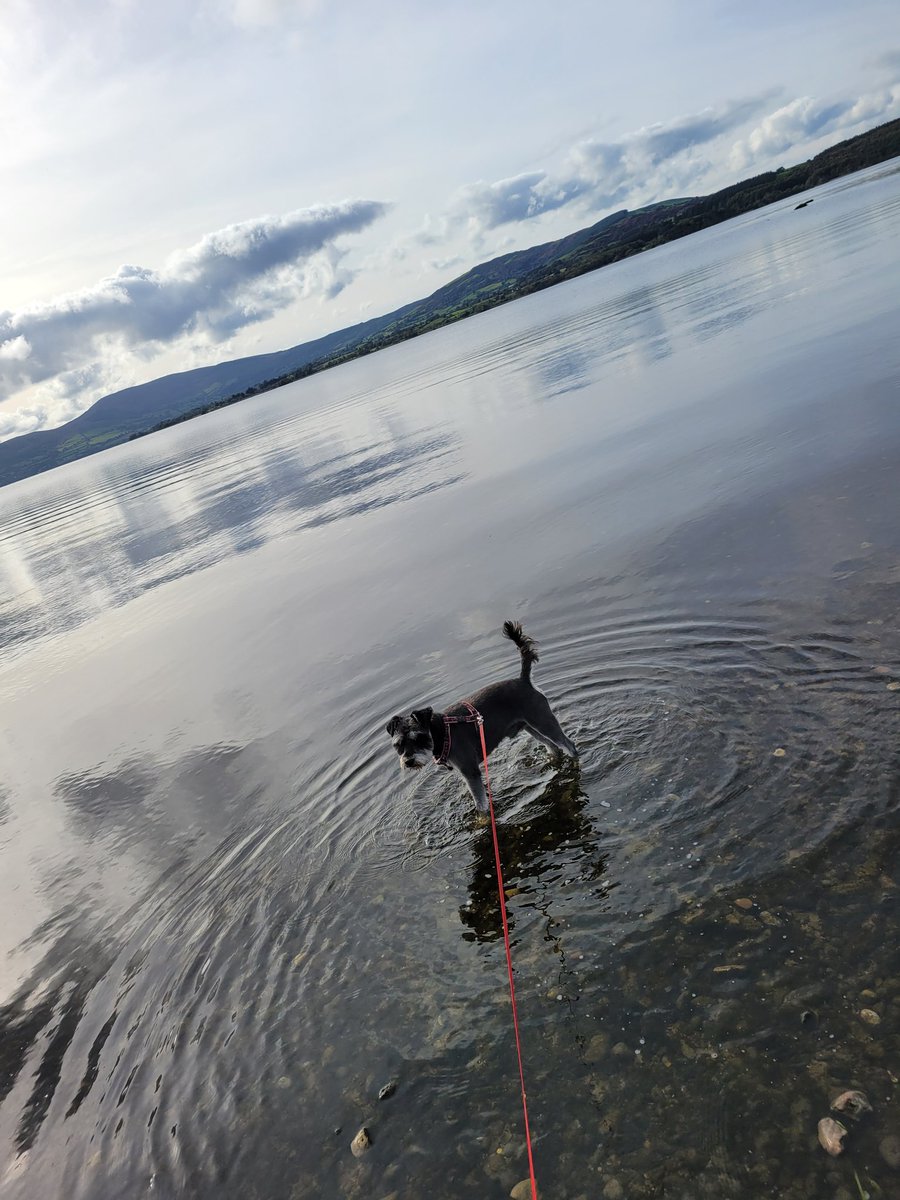 Geraldine Mcloughlin tweet media