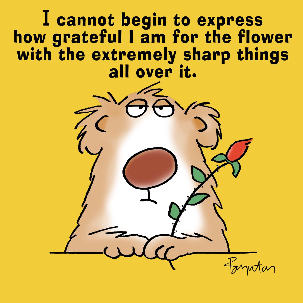 October 15th is Grouch Day. Hmmph. #grouch #whatever