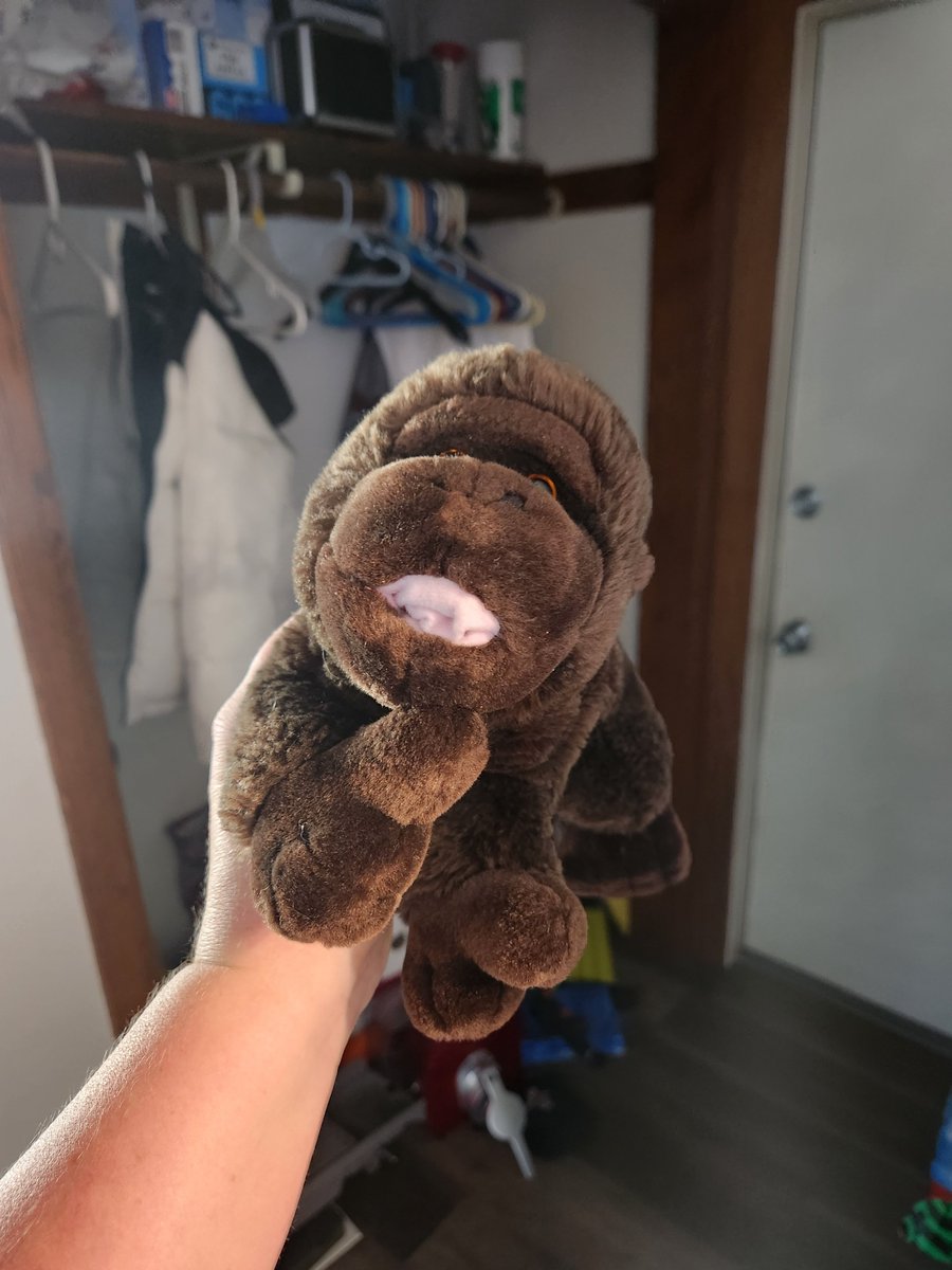 ColleenMarie82's tweet photo. @SouthwestAir my family and I were traveling from Milwaukee to Orlando on 10/5 and my little guy lost his gorilla.  Is he traveling with you still??? https://t.co/8586uVwHYL