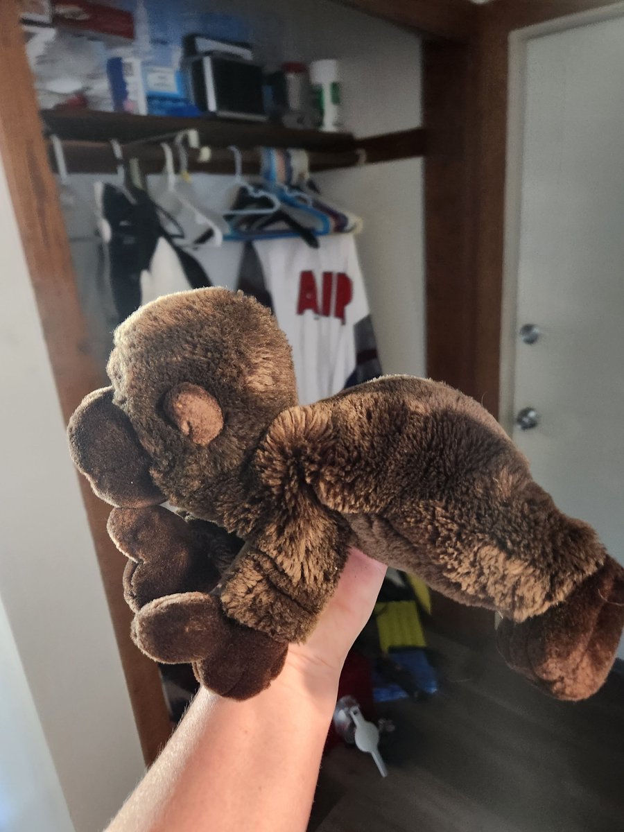 ColleenMarie82's tweet photo. @SouthwestAir my family and I were traveling from Milwaukee to Orlando on 10/5 and my little guy lost his gorilla.  Is he traveling with you still??? https://t.co/8586uVwHYL