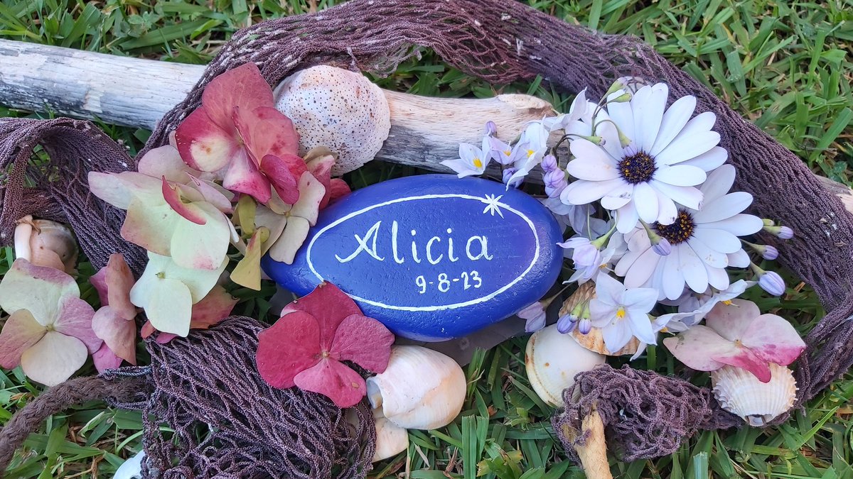 15 de octubre Dia mundial de la concienciacion sobre la muerte gestacional, perinatal y neonatal.

Alicia, que llegaste a la tierra con galerna y volaste al cielo entre perseidas.

Papá y mamá no podemos dejar de quererte ningún día. Mi pobre niña pequeñita.

#duelogestacional