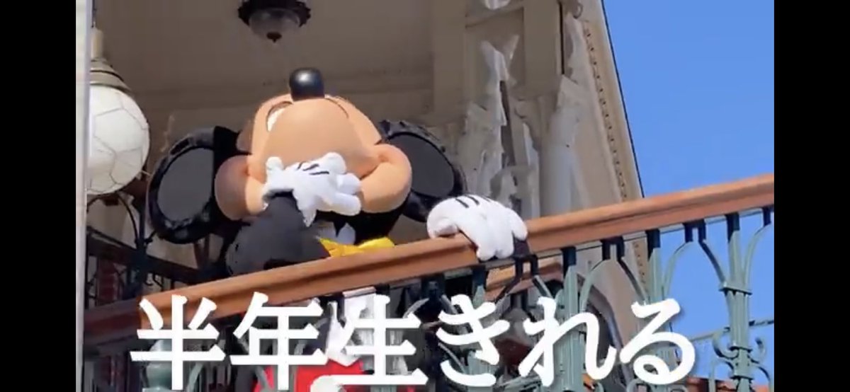 doudemoeeyaro's tweet photo. 結局キャラクターと��えるのが最高(∩´∀`∩)💕
可愛い♥️
見てるこっちも半年生きれる気分
 #ろくなな日記 https://t.co/5oNYy7tON0
