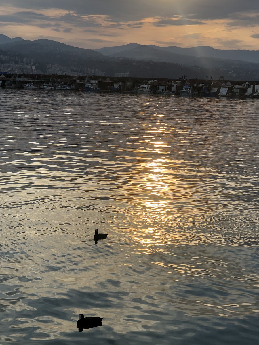 osmankoltuk's tweet photo. Faroz Balıkçı Barınağı.. https://t.co/U8O1oB3LR2