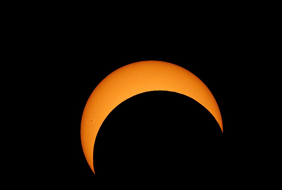 Karim Elmahmoudi tweet media