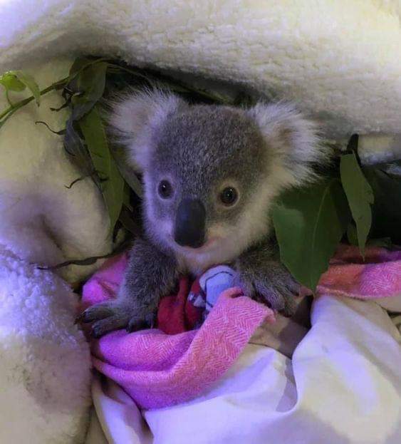 today's best photo!♥️♥️