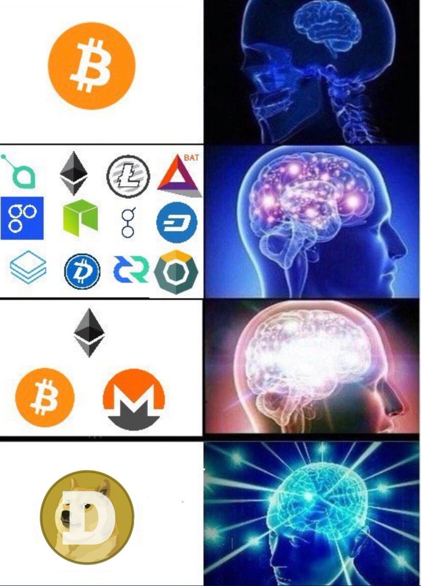 00ALEXs's tweet photo. @TheBTCTherapist *DOGECOIN https://t.co/fyVMdCSEYI