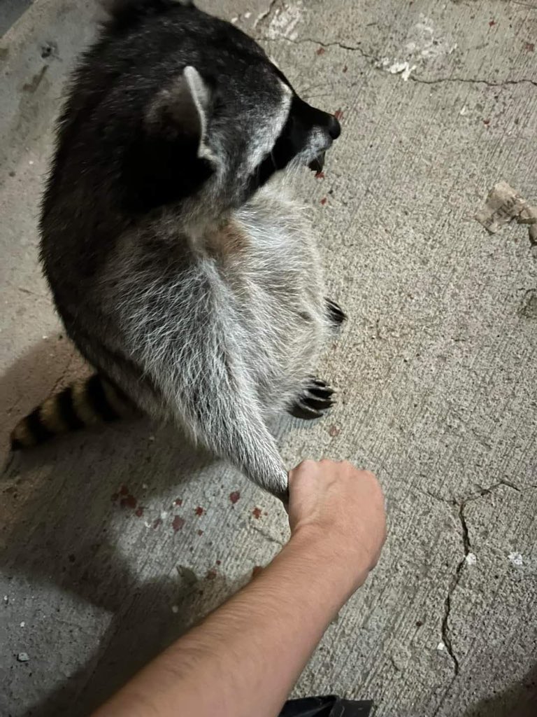 my friends having to hold my hand when drunk or i’ll wonder off