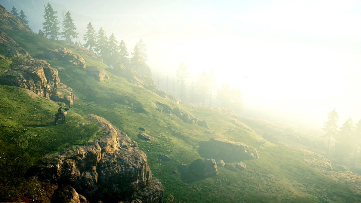 secondcapture's tweet image. Destiny is all | #AssassinCreedValhalla ⚔️

#ThePhotoMode #ACPhotoMode