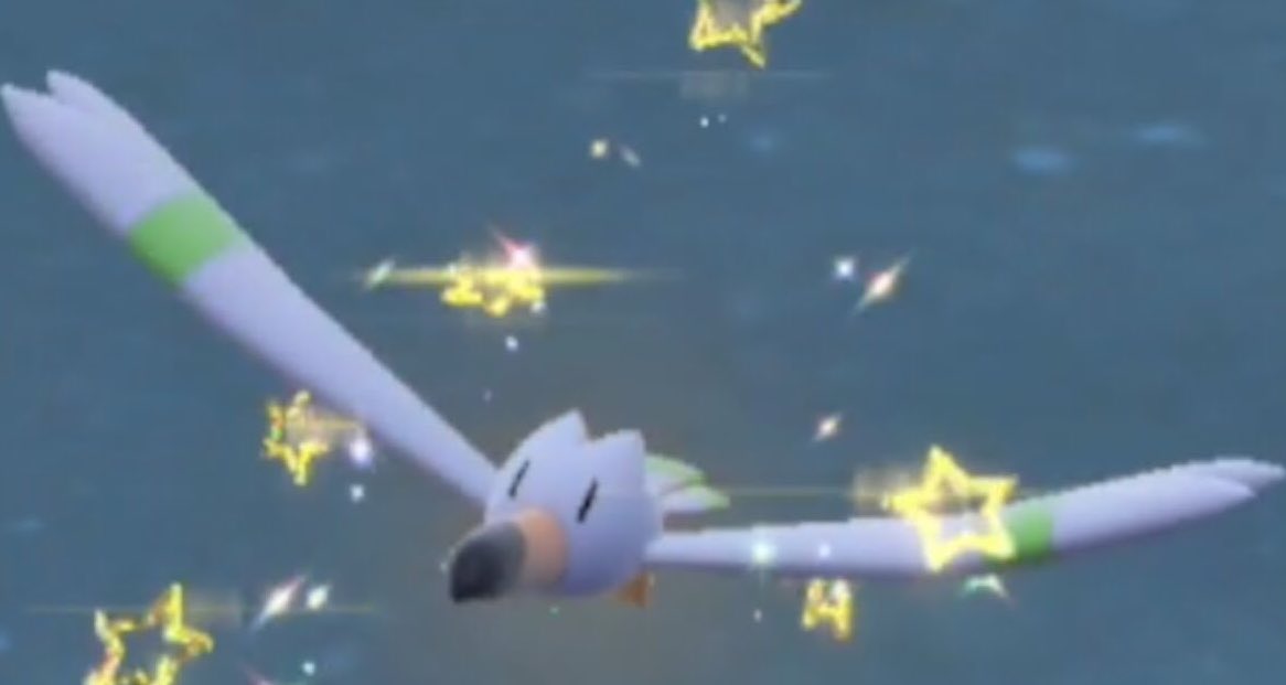chirpywingull's tweet photo. >>Shiny Wingull has appeared<<

                     -Ren’s Wingull-

Lv 100
Flying type
Shiny 
Male https://t.co/E1l3jWZDNO