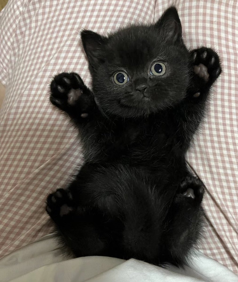 Tragik Design tweet media