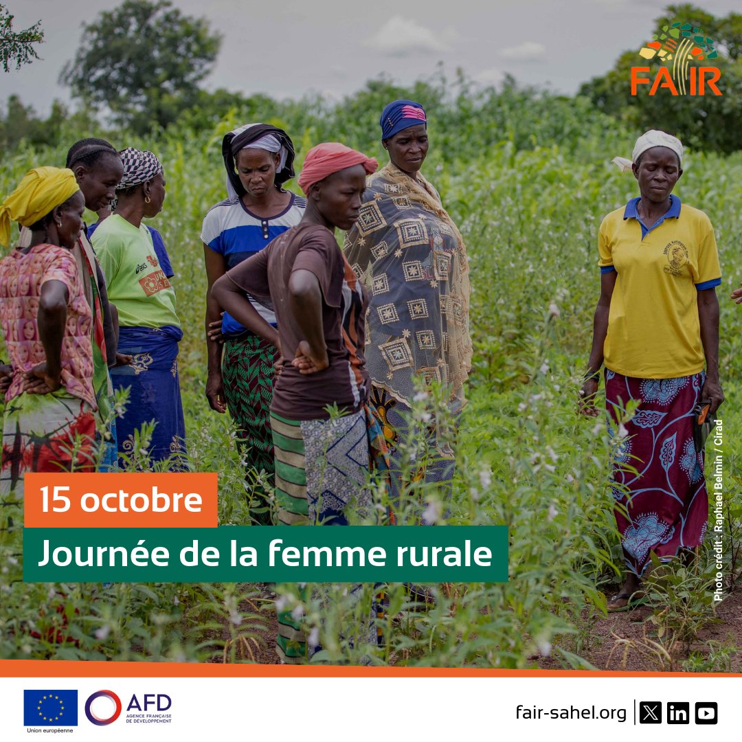 Cette journée met en lumière leur contribution à la sécurité alimentaire et à la promotion de l'#agroécologie. Les femmes rurales, souvent en première ligne des défis liés à l'agriculture et à l'environnement, incarnent la résilience et la persévérance. #AgricultureDurable