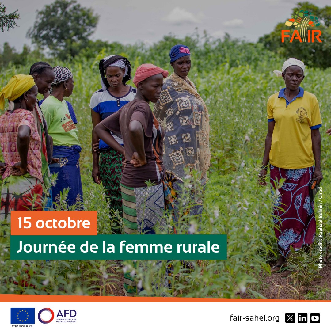 Cette journée met en lumière leur contribution à la sécurité alimentaire et à la promotion de l'#agroécologie.

Les femmes rurales, souvent en première ligne des défis liés à l'agriculture et à l'environnement, incarnent la résilience et la persévérance.

#AgricultureDurable