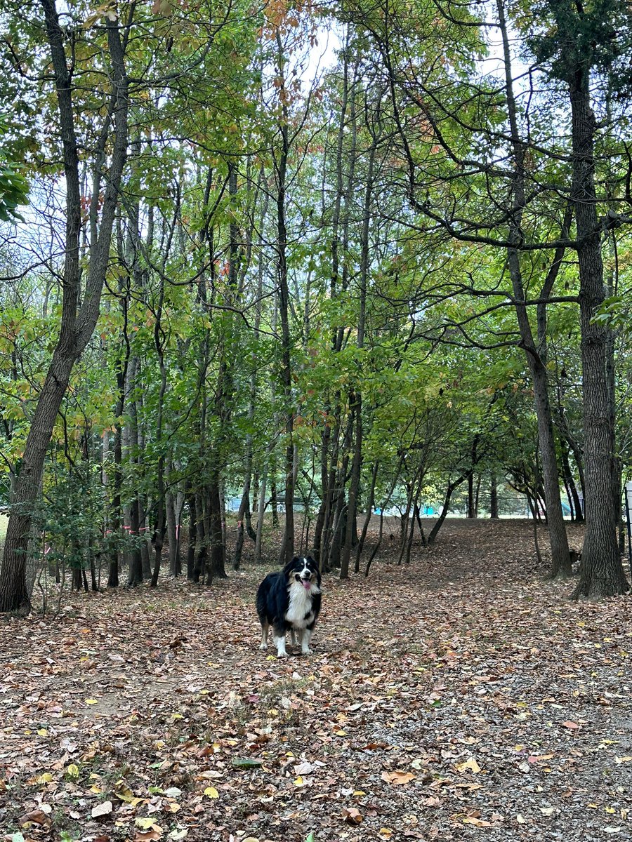 kfreberg's tweet photo. ✨Sunday Funday✨ w/ Mando. 🥰
#MandoWade https://t.co/xA7AtjUZBg