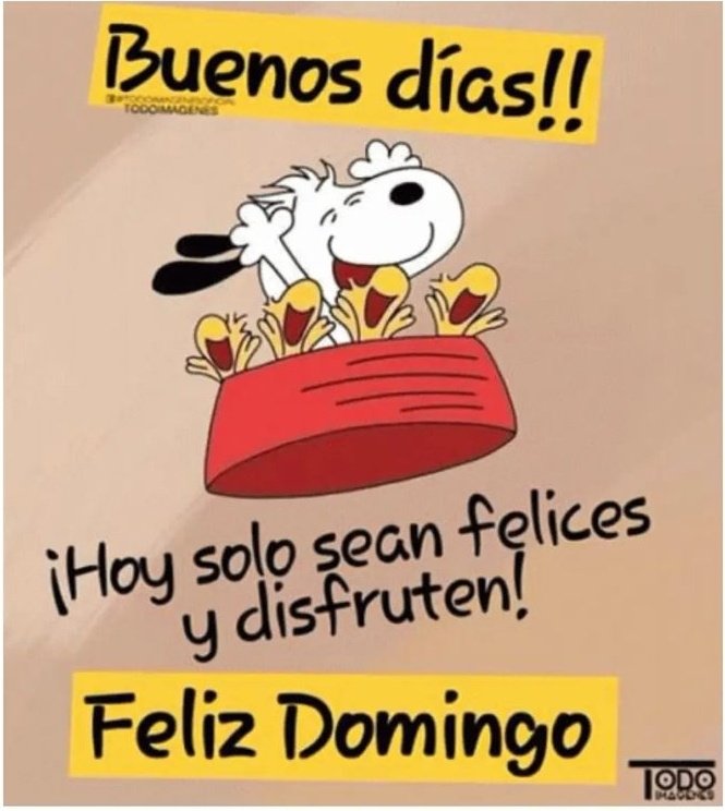 11Mancuso's tweet photo. Feliz Domingo 🎉 https://t.co/drYzfdLhWB