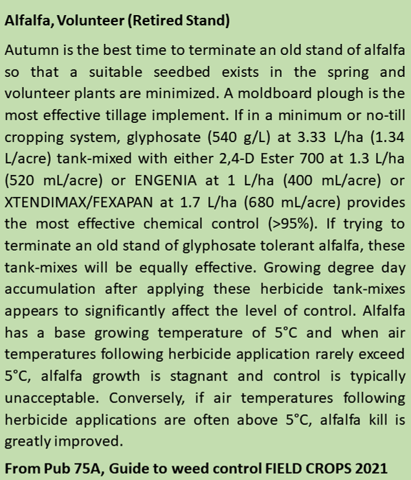 Alfalfa: fortunate to have large forage inventories in East ON. We have lots of “ok” 4 to 5 yrs old alfalfa stands and few young stands. These older stands are at greater risk of winterkill. They are prime candidates for rotation and would provide lots of N to a 2024 corn crop!