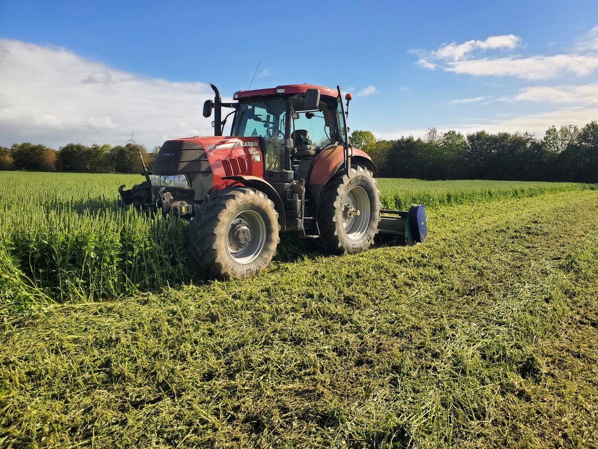 keffRV's tweet image. Broyage des #couverts courts  ce week-end.  Interculture d été: #chia entre #pois et blé moutarde brune et blanche  🍀 entre #blé et #orge. Que de bénéfices !💪 #carbone
#couvertsvegetaux @EuredenGroup
