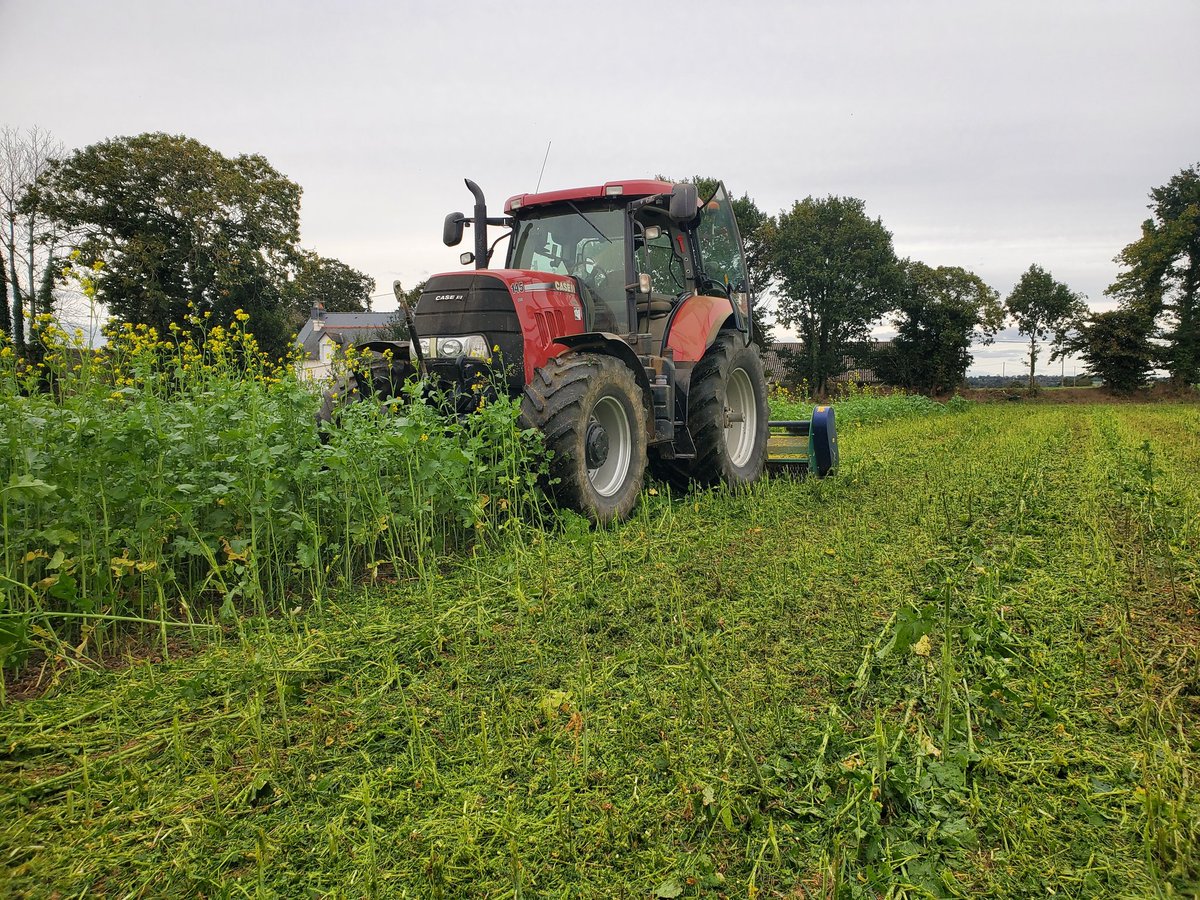 keffRV's tweet image. Broyage des #couverts courts  ce week-end.  Interculture d été: #chia entre #pois et blé moutarde brune et blanche  🍀 entre #blé et #orge. Que de bénéfices !💪 #carbone
#couvertsvegetaux @EuredenGroup