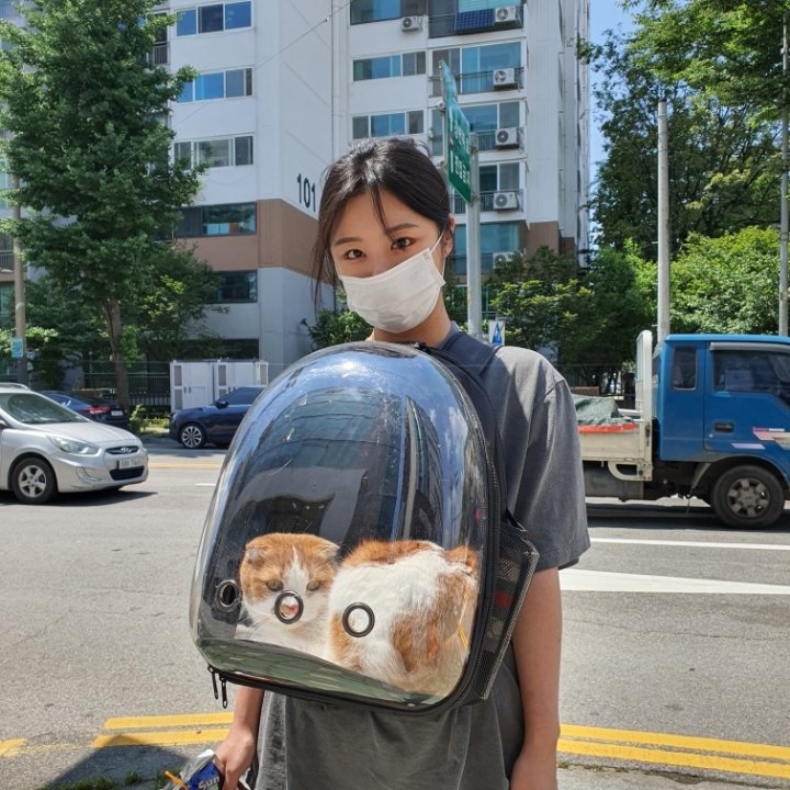 wheeseyo's tweet photo. been wanting to post this for so long, one of my fave wheein and ggomo pic🫠 https://t.co/ED68xmTj69