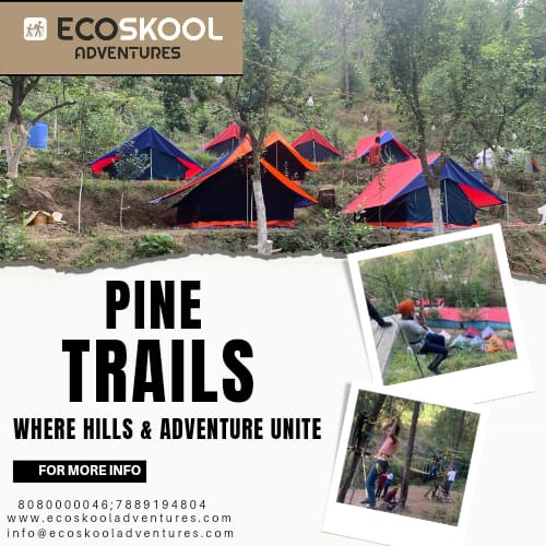 Pine trail jungle camp
#PineTrailJungleCamp
#KasauliGetaway
#NatureEscape
#AdventureRetreat
#HikingInKasauli
#WildlifeAdventure
#MountainRetreat
#JungleCampExperience
#KasauliDiaries
#OutdoorAdventure
#HimalayanGetaway
#NatureLoversParadise
#CampLife
#ExploreKasauli