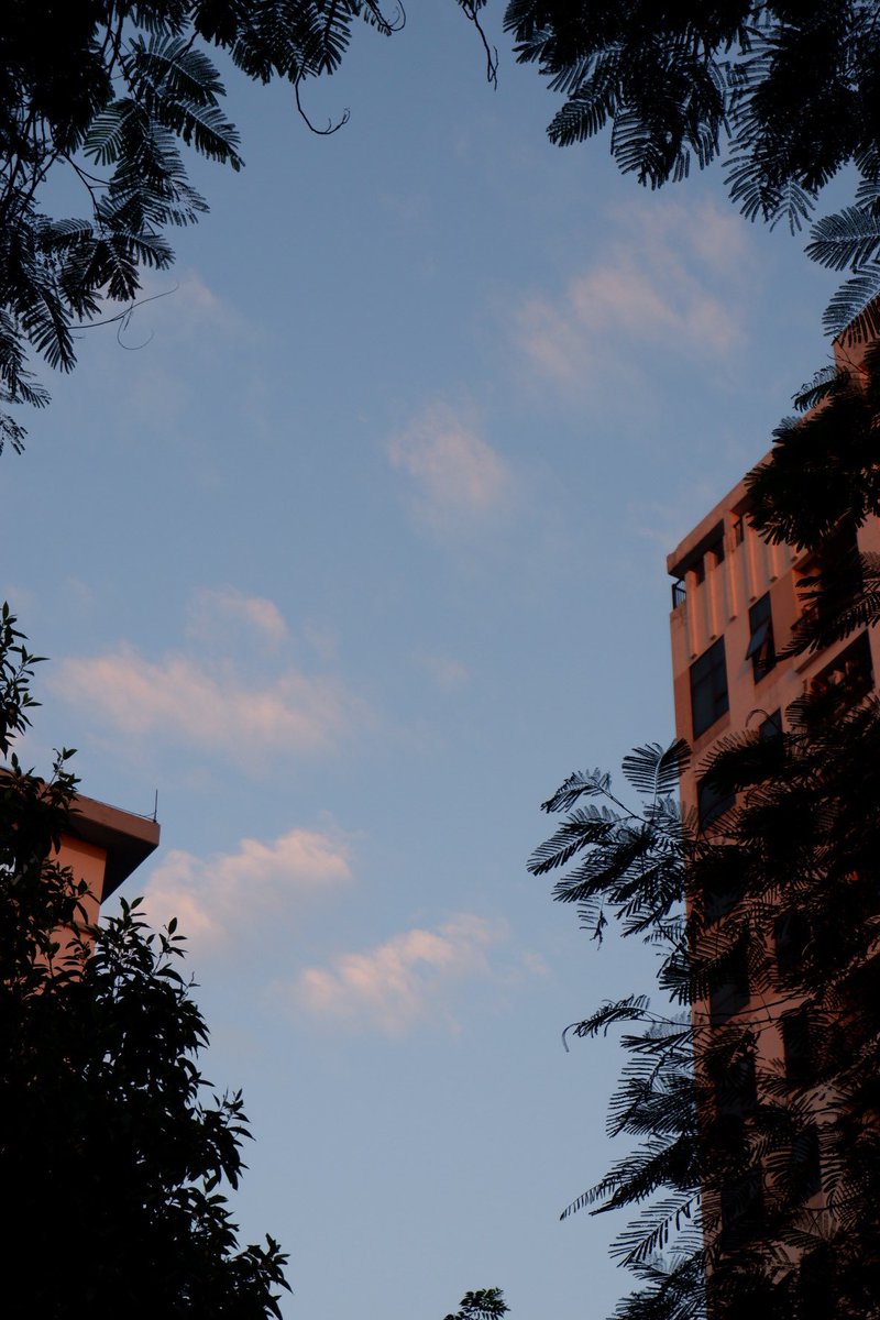 Alexx_T18564's tweet photo. Những ngày Hà Nội rất thu, rất đẹp.
#fujifilm #fujifilmxa5 #HaNoi #sunset #dawn #cloud #sky #niceday #moment #goldenhours https://t.co/mBhAeQDvzS