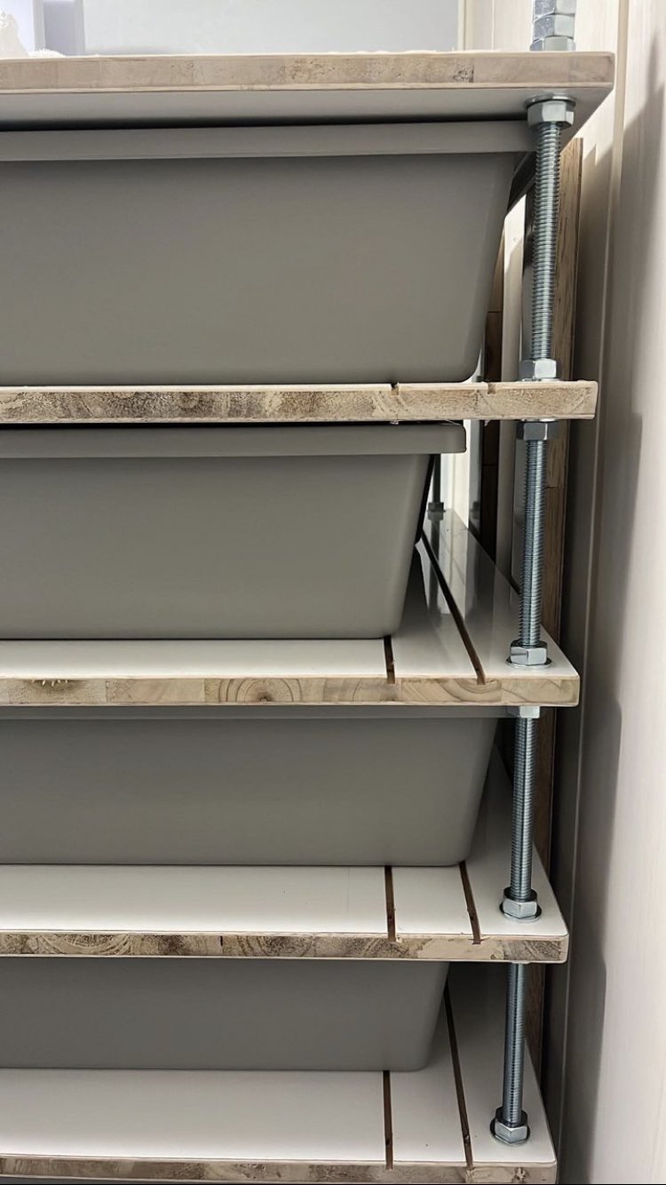 スネークラック 06snakeracks (@06snakeracks) / Posts / X