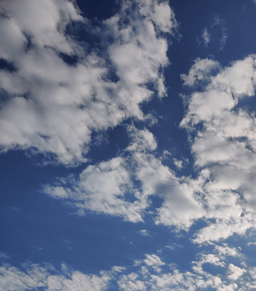 Busted Ride Daily Vanity Plate Ideas tweet media