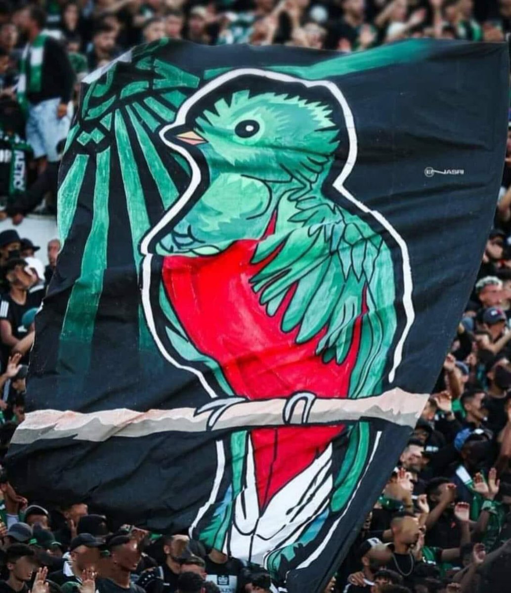 ProsMarocains's tweet photo. طائر الكويتزال Quetzal الذي يظهر  بأحد أعلام جماهير الرجاء  
طائر "الكويتزال يحمل ألوان شبيهة بعلم فلسطين" 🇵🇸 
هو طائر يعيش في جبال وغابات أمريكا الجنوبية ، ويلقب بطائر الحرية لأنه يق��ل نفسه مباشرة بعد إمساكه أو حبسه.
#فلسطين #غزة #الرجاء https://t.co/DmMkH6l51Z