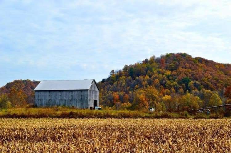 kyblueblood's tweet photo. Autumn colors in Clay County, Kentucky. #kentuckytravels #autumn #colors #fallcolors #appalachian #followme #kentuckytravels #kentuckyadventure #uniquekentucky #nature #mothernature #peakseason https://t.co/4ZUZJSvpDm