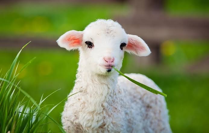 REI_of_Gad's tweet image. Here a little
There a little
Till I myself
Become the little