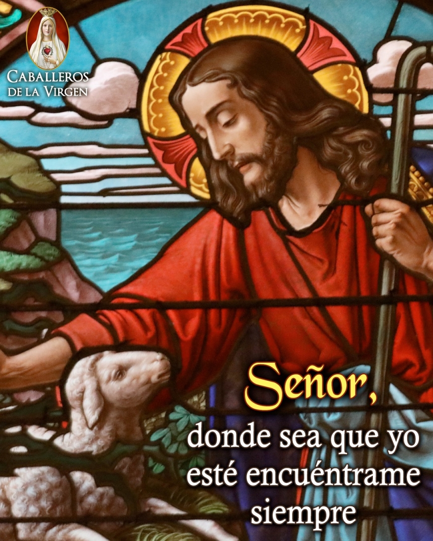 Cab_Virgen's tweet photo. Señor mío, Dios mío, quiero acercarme a tu misericordia, saber que tu compasión y tu amor por mí, es algo que siempre estará a mi alcance. Tengo la plena confianza de que, en todas mis necesidades, Tú me ayudas a salir adelante. Confío en que tu amor vive dentro de mí. Aumenta https://t.co/DRBcFaYUNE