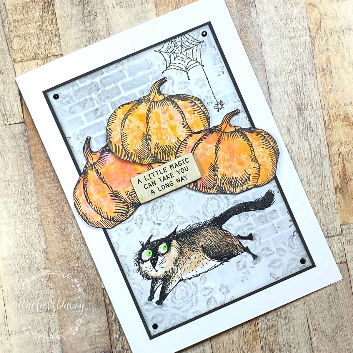 stampers_anon's tweet photo. Snarky Cat CMS392 🐈‍⬛🎃 distress oxides, spritzed with water + heat embossed and stamped the background using Vine and Rose CMS298 + brushed Hickory Smoke #distressink through the brick mini stencil set no.3 ✨

✂️ #handmade by @cosycrafter

#DIY #stampersanonymous #timholtz https://t.co/B4qzkNRswq