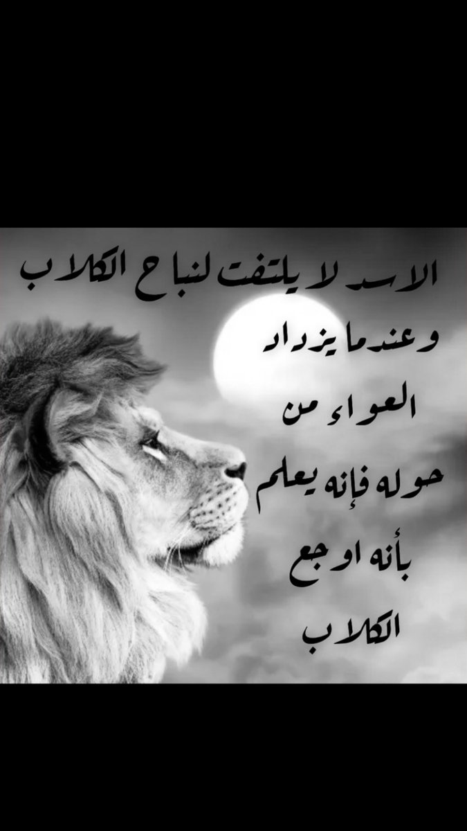Miss_fo0f's tweet photo. الاسد لا يلتفت لنباح الكلب و لا نهيق الحمار https://t.co/FEd46FhjPm