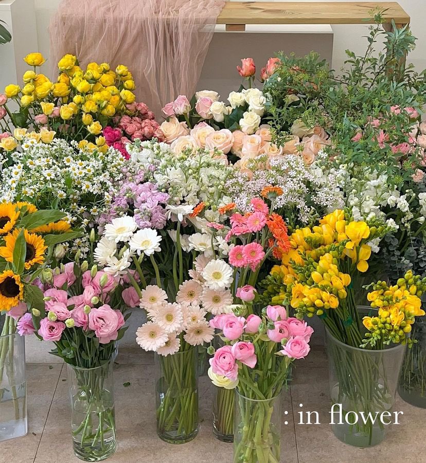 ◌   ⊹ 　　　　　　⊹ 　◌
　  .       🌈🍡🪥🪃
               🍢            🥕       ⊹     ﾟ        
          .          ✏️🖍️
⊹   　　                        ⊹　　◌