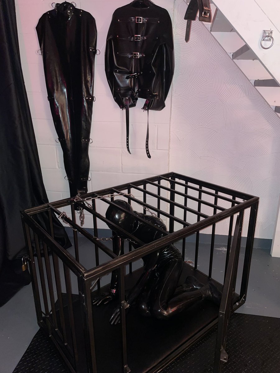 dominatrixvera's tweet photo. Gimps make the best captives ⛓️ https://t.co/VXtWBOr4QK