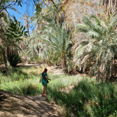 S_anddra's tweet photo. #NouvellePhotoDeProfil https://t.co/WbrsNSvwvn