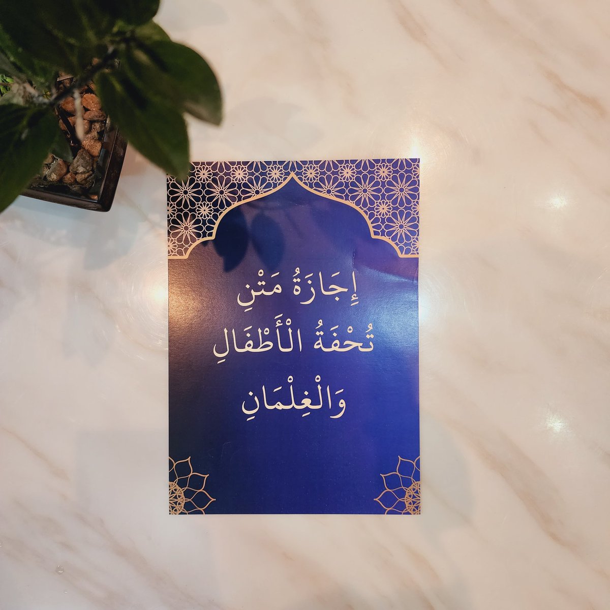أمَل بنت سالم tweet media