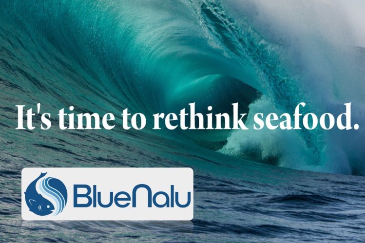 LlcPagan's tweet photo. Cell-Cultured Seafood Startup BlueNalu Raises $33M Series B Round- https://t.co/LANdSdSYAH https://t.co/z5OCaHY3eU
