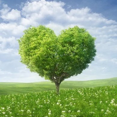 tyczynski_k's tweet photo. U mnie po 12 latach zmiana 😊 Więc chodź, pomaluj mój świat na zielono! 💚
#wybory2023 #bazarek #KOperek https://t.co/qkiJDKPGEX
