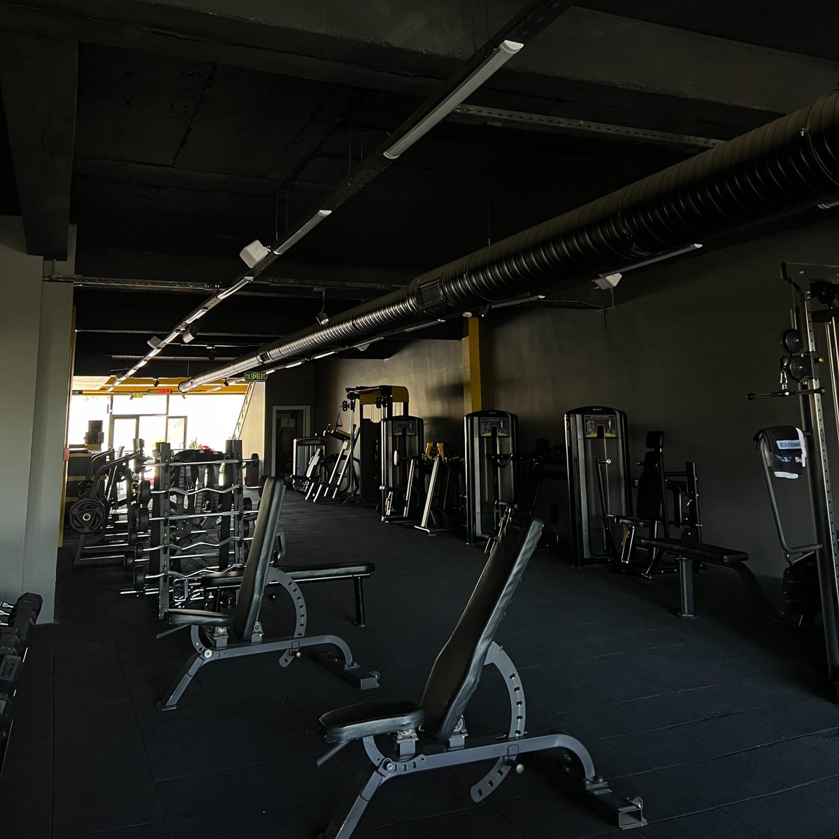 LANGERIUS tweet media