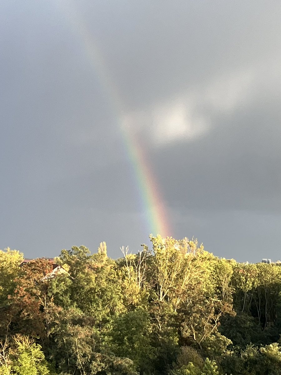 SebbelSebb's tweet image. 🤩