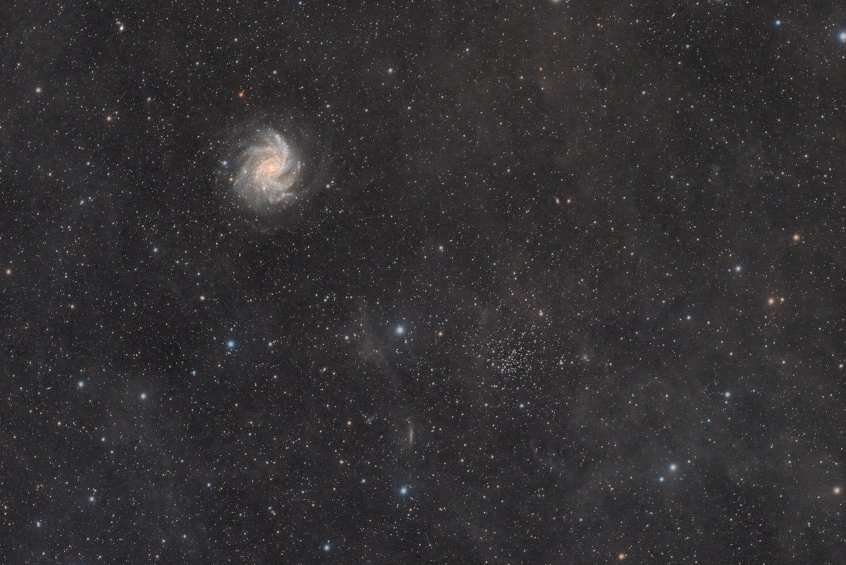 Et voici ma petite dernière!!!
La galaxie du feu d'artifice prise avec une lunette ASKAR 107PHQ et une caméra 2600MC-Duo.
Il y a 3h de pose et traité par Astrokimou sur Pixinsight. J'ai terminé ensuite sous photoshop pour faire sortir les IFN ^^.