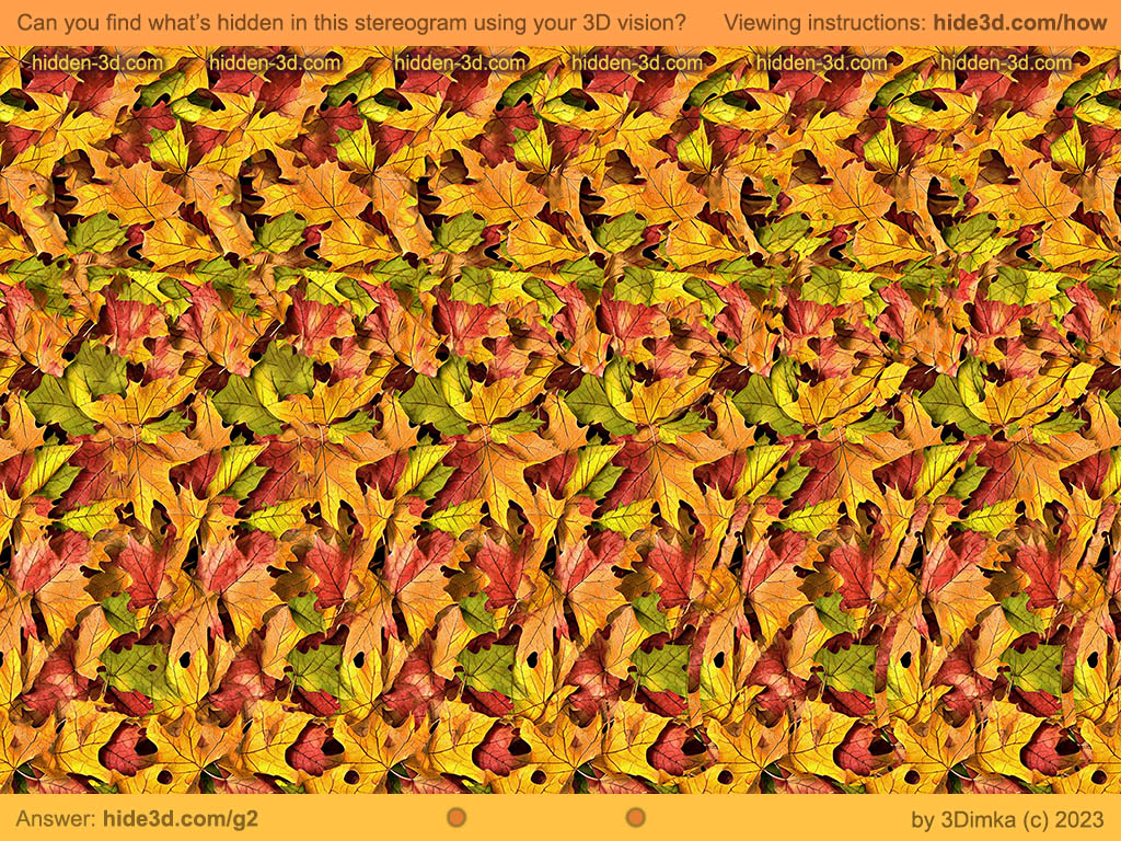 FALL SURPRISE

Can you describe what you see?

Viewing instructions: hide3d.com/how
Answer: hide3d.com/g2

#magiceye #opticalillusion #3dimka #ステレオグラム #マジックアイ #立体图 #stereogram #Halloween