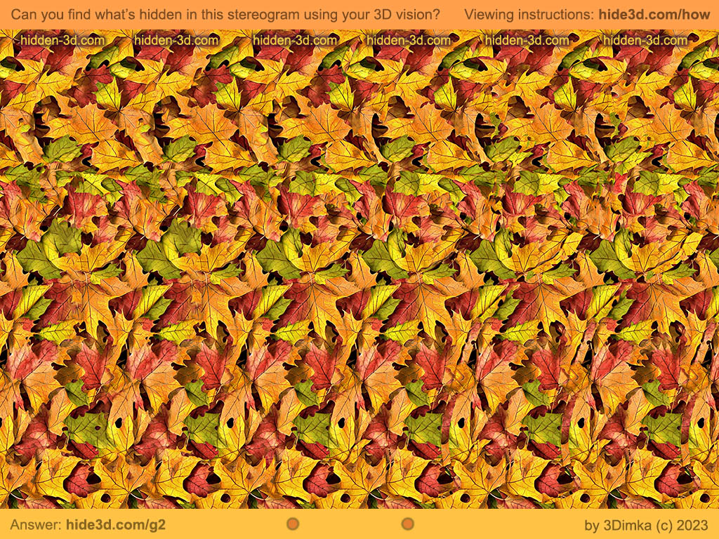 Kitty Stereogram By 3dimka Reading Frog Hidden 3D Print | Zazzle