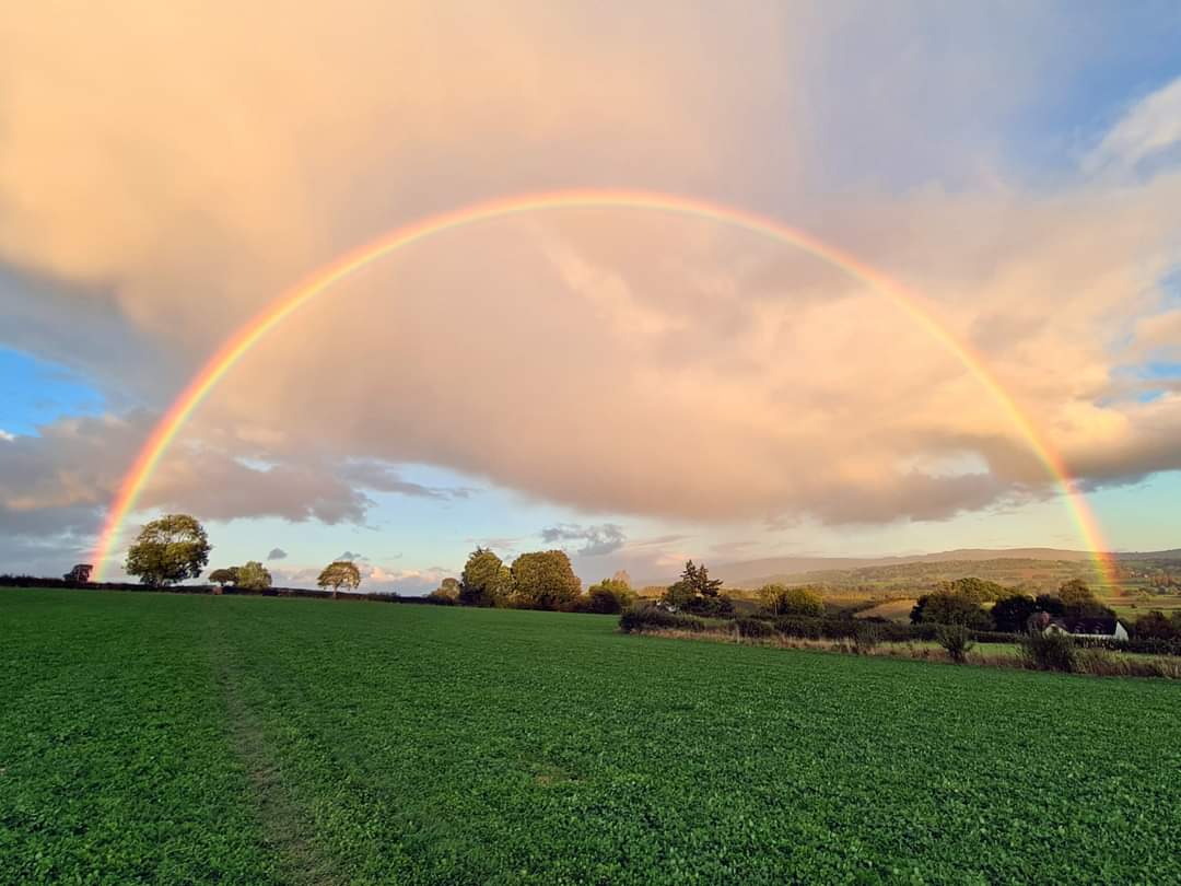 Corvedale - South Shropshire - UK
October 14/23
📷Andrew Inglefield