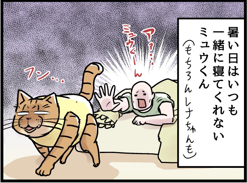 背負ってたのは一緒に寝れない悲しみじゃなかった  covovoy.blog.jpからまだ未公開の最新話を読むことができます!  #ニャンコ #まんが #猫 #猫あるある #猫漫画 #ペット #飼い主 #エッセイ漫画 #キャット #猫のいる暮らし