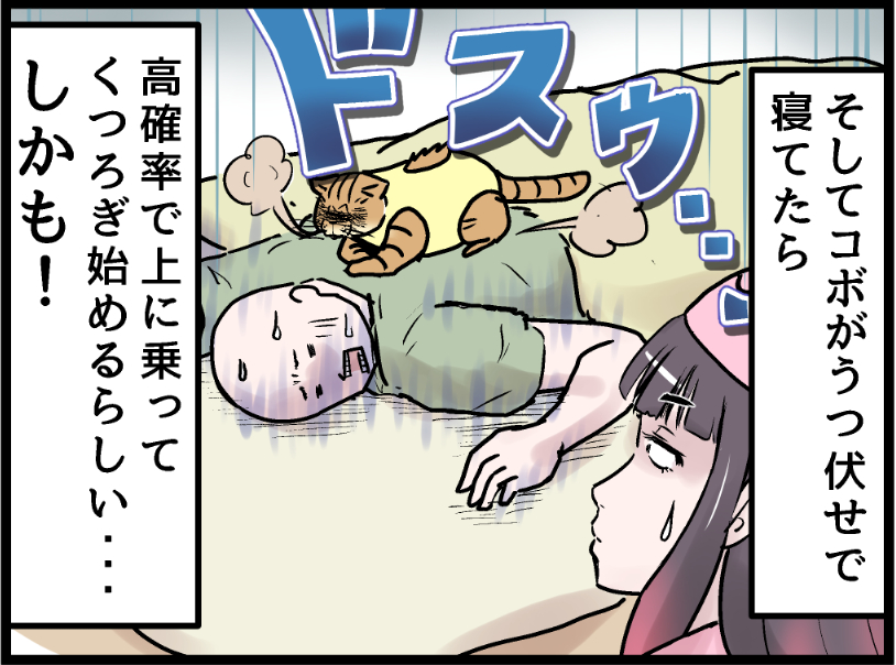 背負ってたのは一緒に寝れない悲しみじゃなかった  covovoy.blog.jpからまだ未公開の最新話を読むことができます!  #ニャンコ #まんが #猫 #猫あるある #猫漫画 #ペット #飼い主 #エッセイ漫画 #キャット #猫のいる暮らし