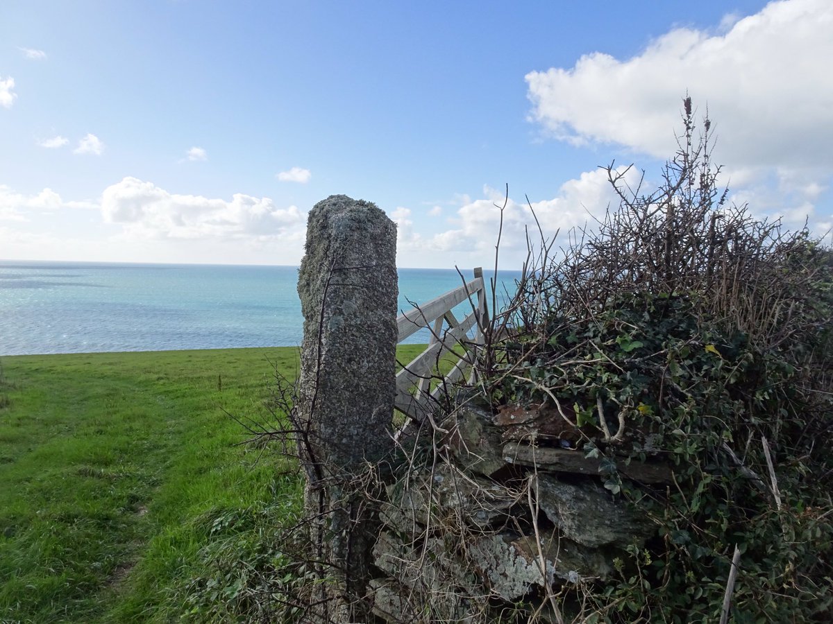 mackerelsky17's tweet photo. Yesterday was a beautiful day for a clifftop stroll.
#Gunwalloe #LoeBar #LoePool https://t.co/6B67h85SJM