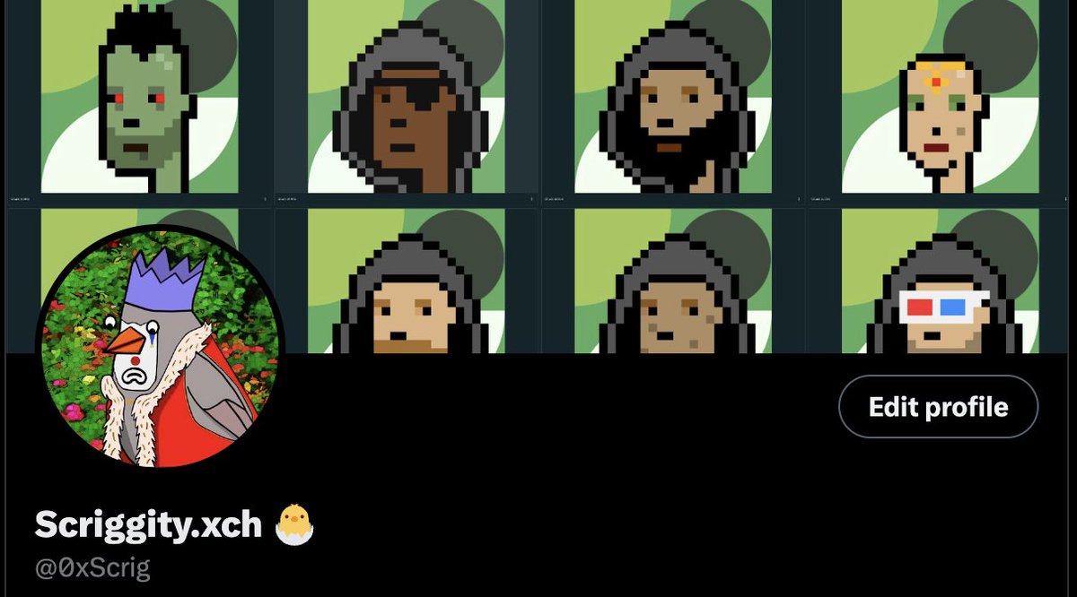 Rockin my best of <a href="/chia_project/">Chia Network</a> NFT's on my profile. Gotta give some love to the most slept on collection <a href="/FeelFreeArt/">FF Art</a> by <a href="/NiftyLeyLey/">bigfud.eth 🌱</a> these birds are d'amazing. And oh those <a href="/TheChunksNFT/">The Chunks NFT</a> i'm whalin'.