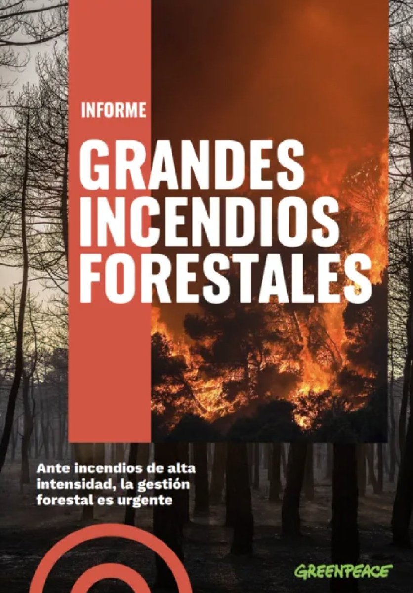 Luis Berbiela tweet media