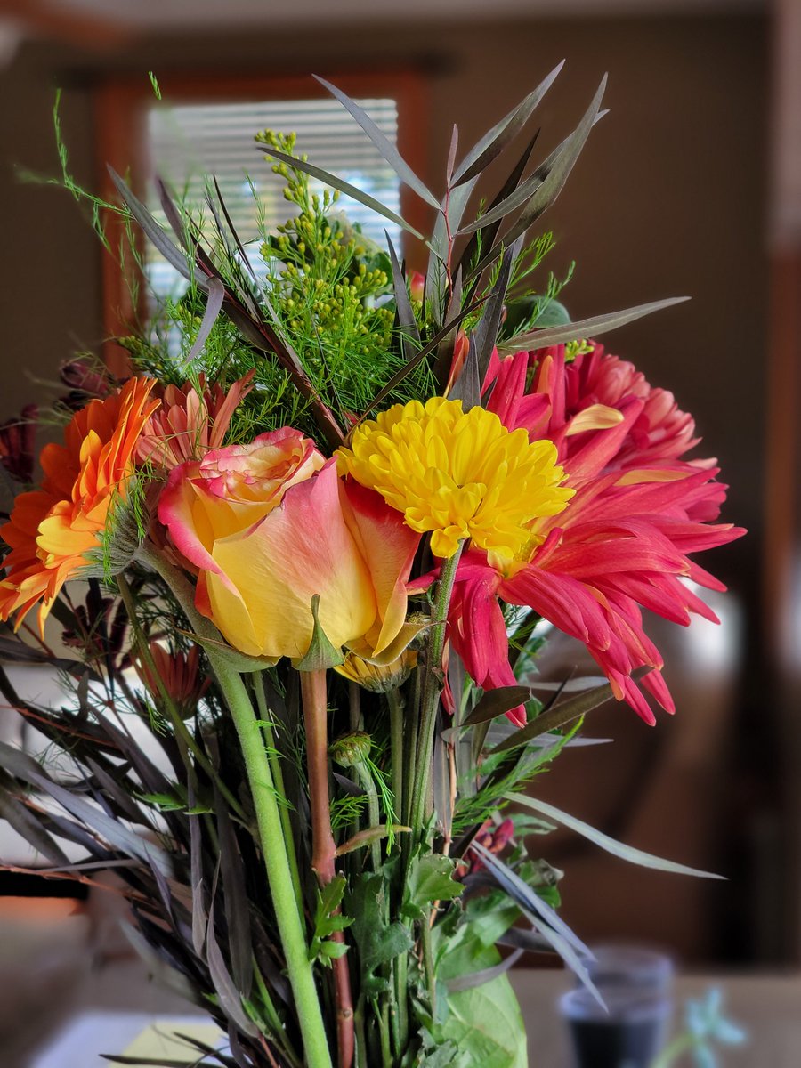 jen_deslauriers's tweet photo. Buy yourself the flowers โค๏ธ smile ๐ฅฐ enjoy your cday all !! #HappySunday #FallVibes #newengland #PokemonGOfriends #PokemonGOCommunityDay #timbur https://t.co/ckiZYiqe3T